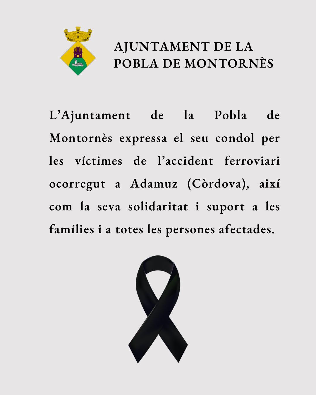 DOL OFICIAL ACCIDENT FERROVIARI ADAMUZ