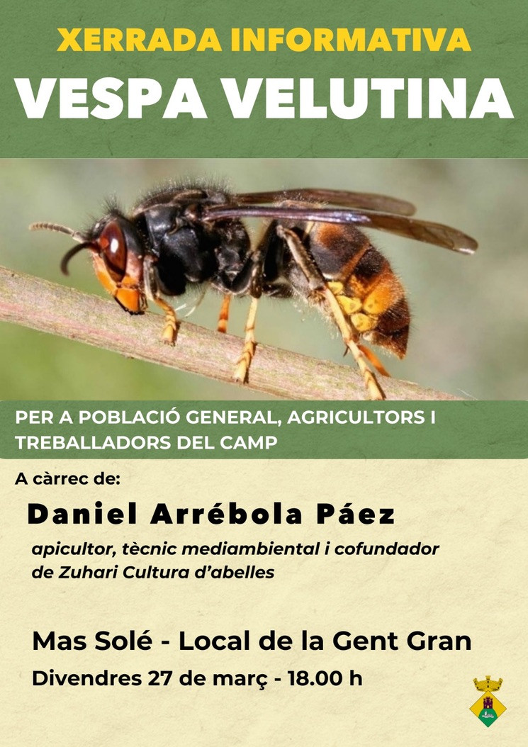 572AC534-5B1F-4A82-84A1-1D533C78BD3C_1_105_c