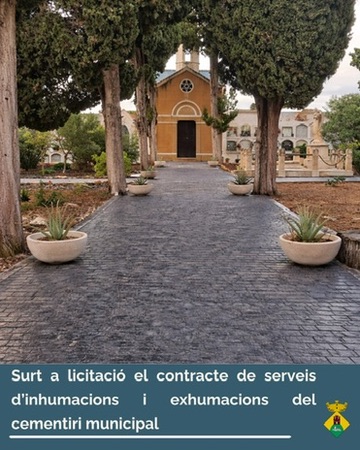 9E91E1E0-9EF4-499F-B289-0BE0D8EBC732_4_5005_c