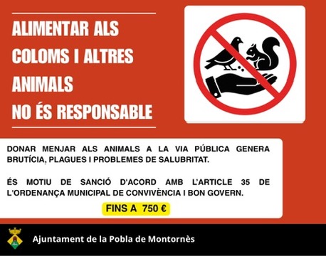 Evitem alimentar els coloms i altres animals a la via pública